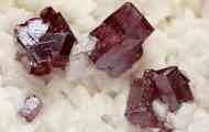 Cinnabar